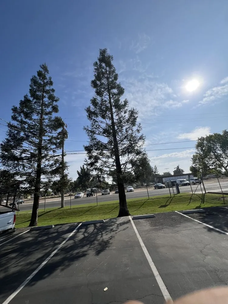 Reliable landscape design for residential properties in Bakersfield, CA by Grey Elder