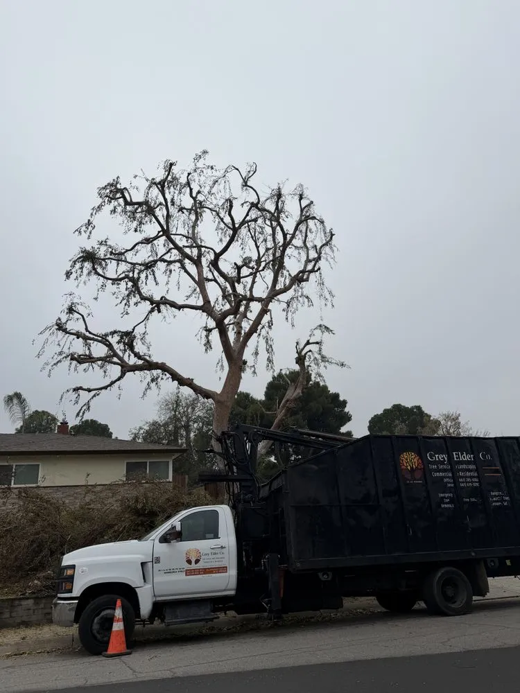 Expert landscape design with custom design in Bakersfield, CA by Grey Elder