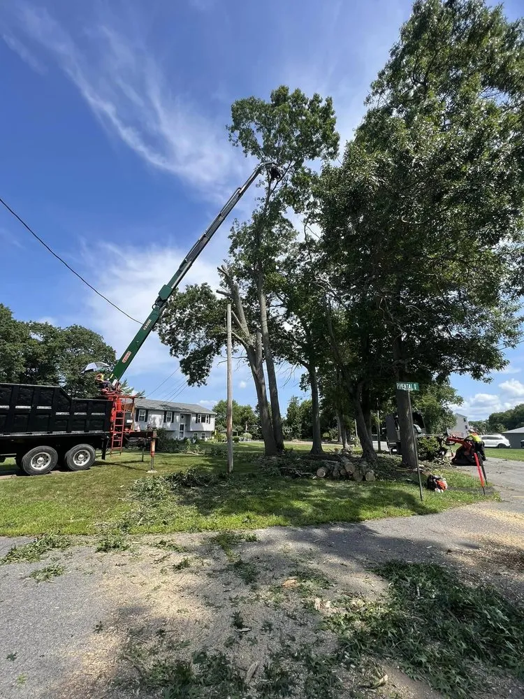 Top-rated outdoor landscaping near you in Seekonk, MA by Grey Hat Tree Service and Landscaping