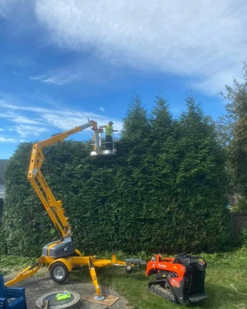 Affordable residential landscaping for residential properties in Seekonk, MA by Grey Hat Tree Service and Landscaping