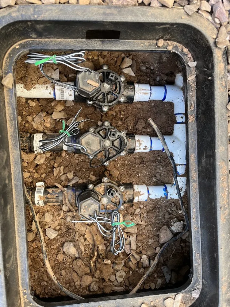 Trusted lawn care service for residential properties across Florence, AZ - Grey Landscape & More