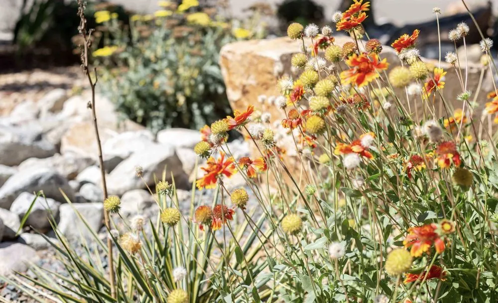 Custom landscape design in Fort Collins, CO by Grey Rock Landscape & Construction