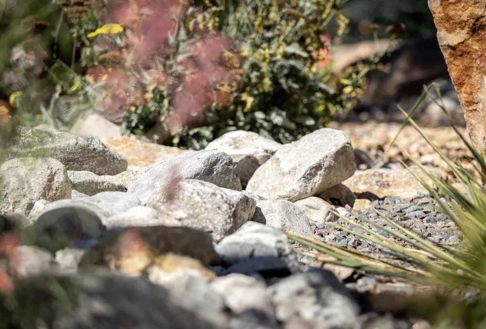 Professional yard maintenance in Fort Collins, CO - Grey Rock Landscape & Construction