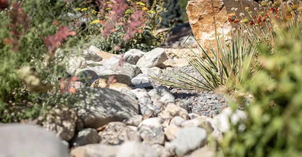 Expert lawn mowing service with custom design in Fort Collins, CO by Grey Rock Landscape & Construction