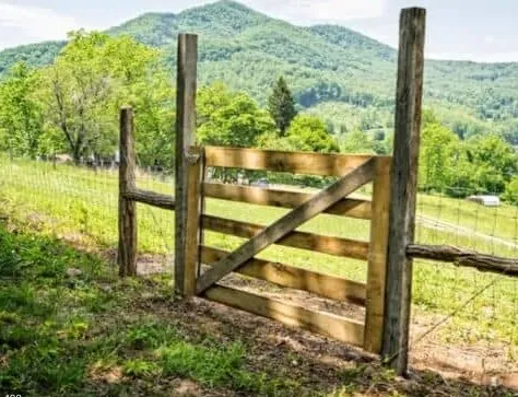 Professional yard cleanup service in Lake Arrowhead, CA by Grey Wolf Landscaping