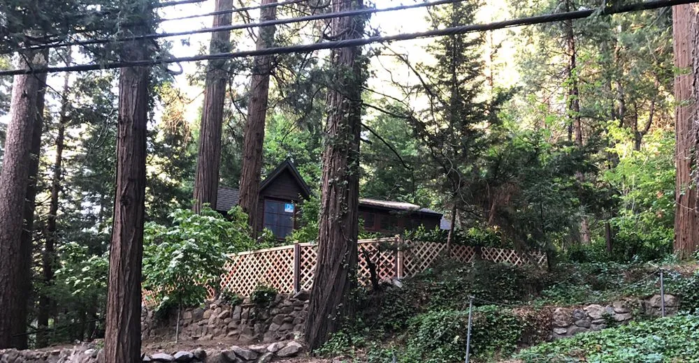 Reliable yard cleanup service in Lake Arrowhead, CA by Grey Wolf Landscaping