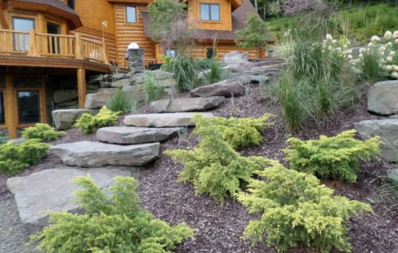Reliable lawn care service experts serving Lake Arrowhead, CA - Grey Wolf Landscaping