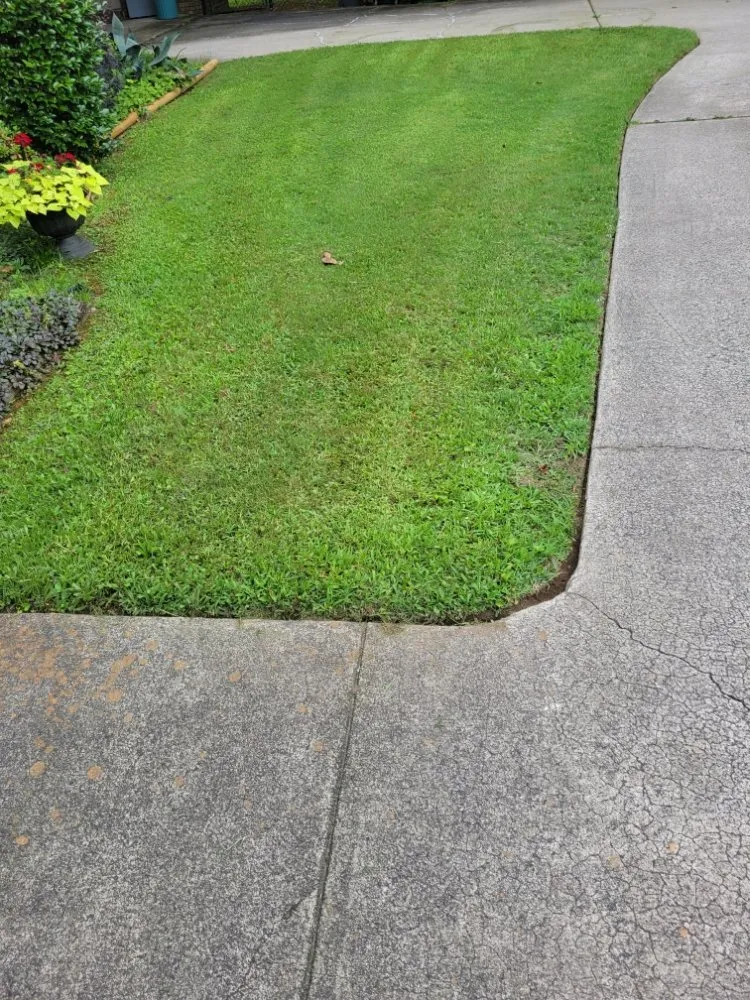 Reliable yard cleanup service for homes in Midland, GA by Greybeard Lawn Maintenance
