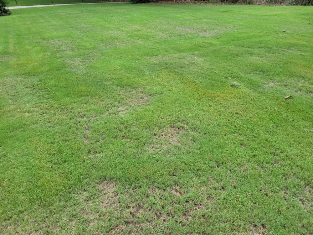 Top-rated landscape installation in Midland, GA by Greybeard Lawn Maintenance
