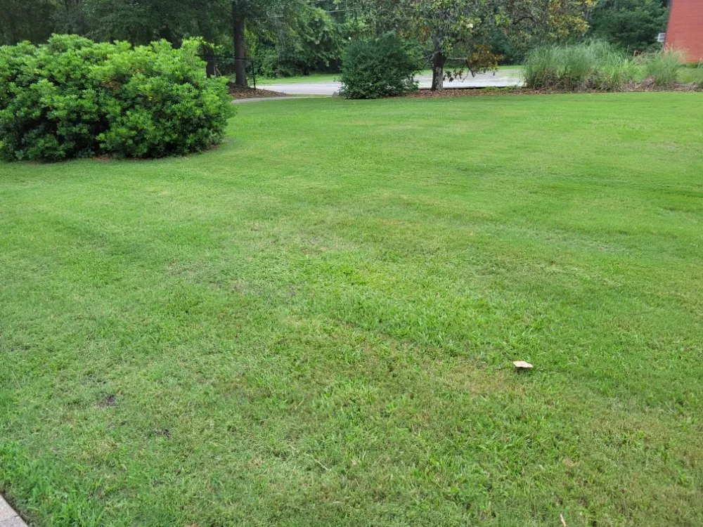 Professional landscape installation experts serving Midland, GA - Greybeard Lawn Maintenance