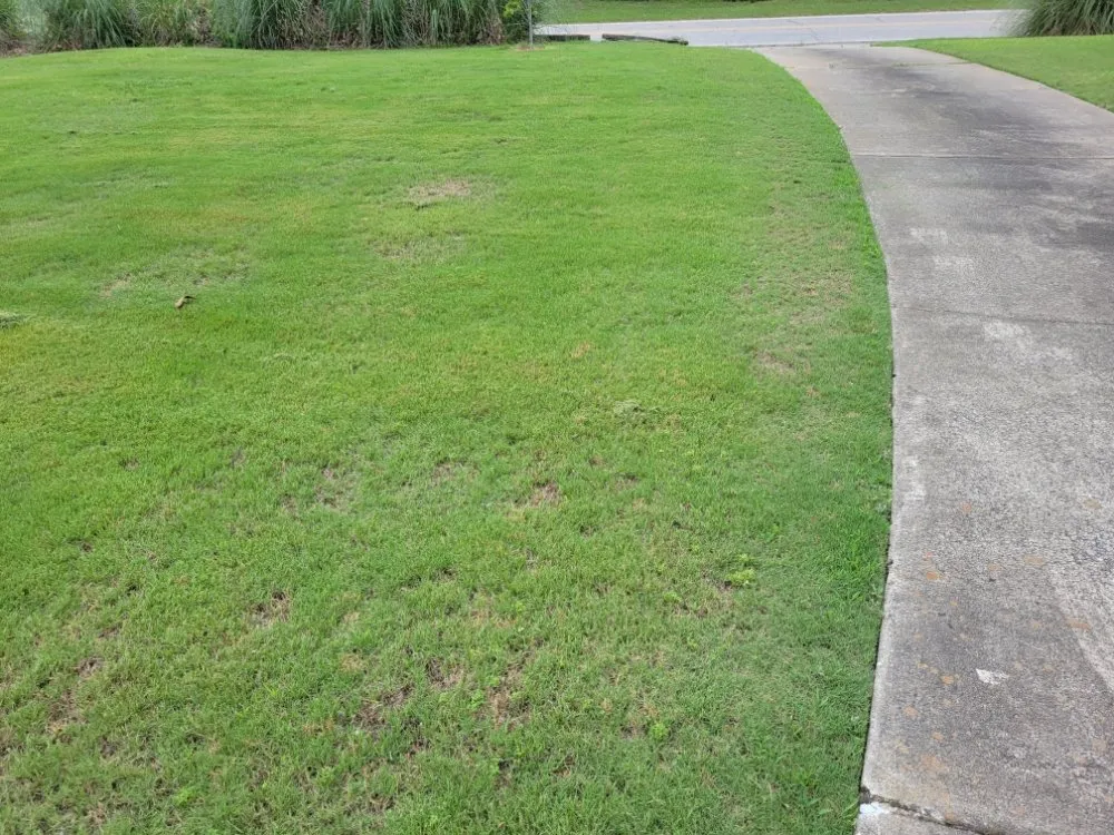Local lawn mowing service in Midland, GA - Greybeard Lawn Maintenance