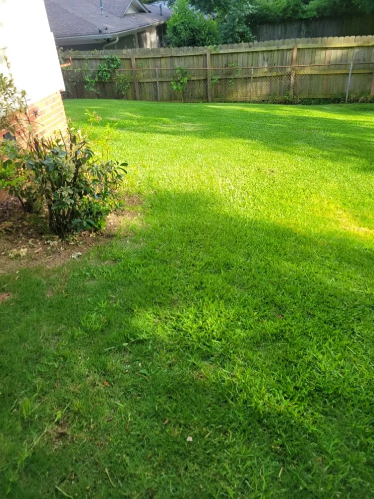 Trusted residential landscaping for year-round maintenance in Midland, GA by Greybeard Lawn Maintenance