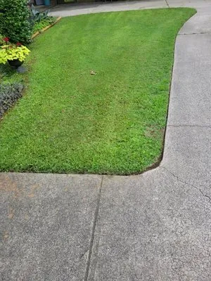 Greybeard Lawn Maintenance Logo