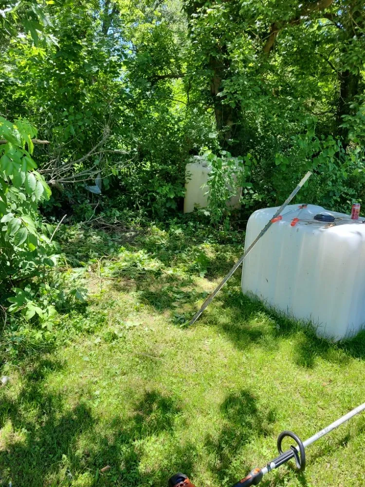 Affordable yard maintenance for homes across Marmaduke, AR - Greyhound Lawn Service