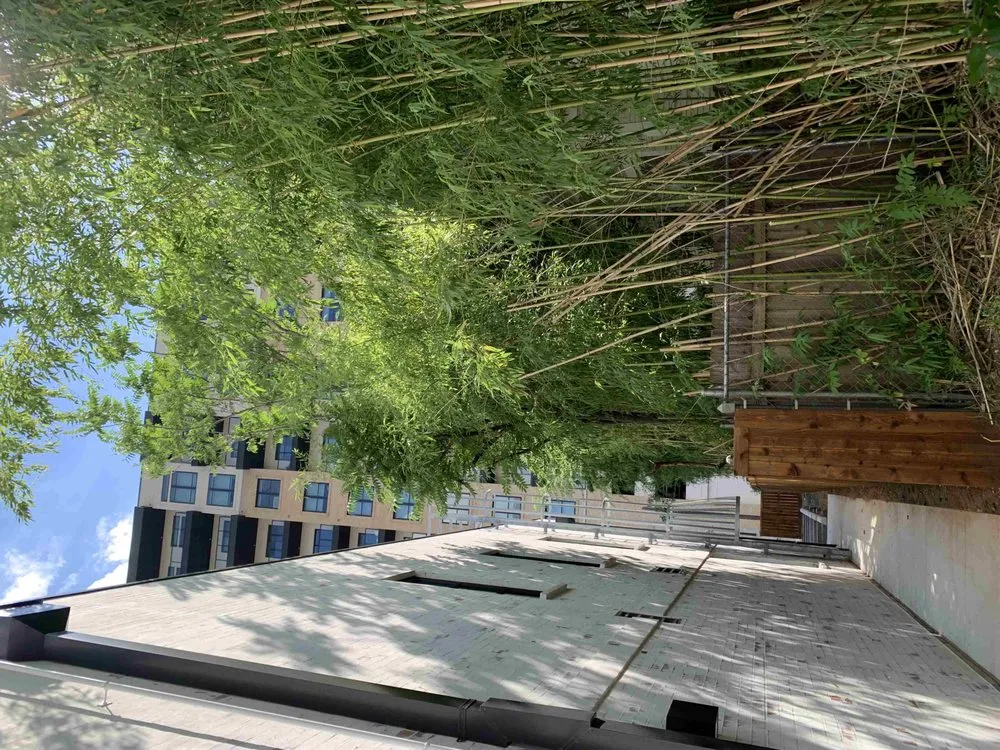 Expert outdoor landscaping experts serving Kaufman, TX - Greyna Lawn Care & Tree Service