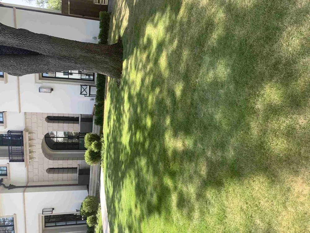 Custom landscape design experts serving Kaufman, TX - Greyna Lawn Care & Tree Service