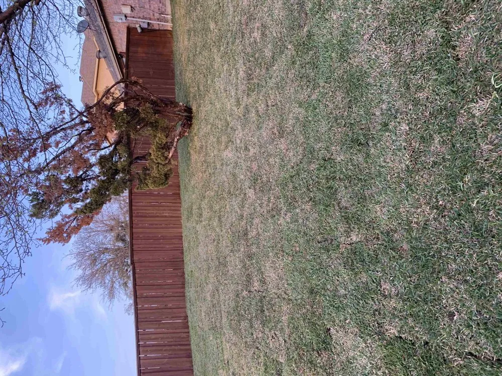 Reliable landscape design for year-round maintenance across Kaufman, TX - Greyna Lawn Care & Tree Service