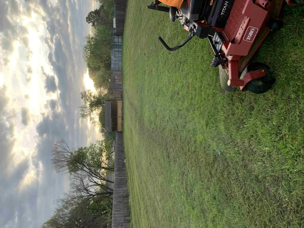 Trusted landscaping services in Kaufman, TX by Greyna Lawn Care & Tree Service