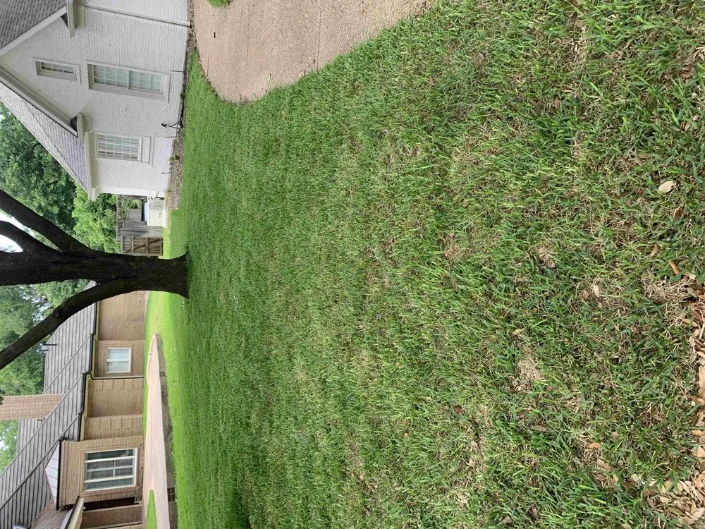 Affordable outdoor landscaping for beautiful yards in Kaufman, TX by Greyna Lawn Care & Tree Service