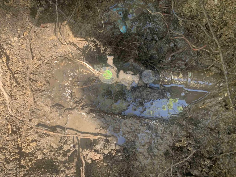 Trusted lawn mowing service experts serving Kaufman, TX - Greyna Lawn Care & Tree Service