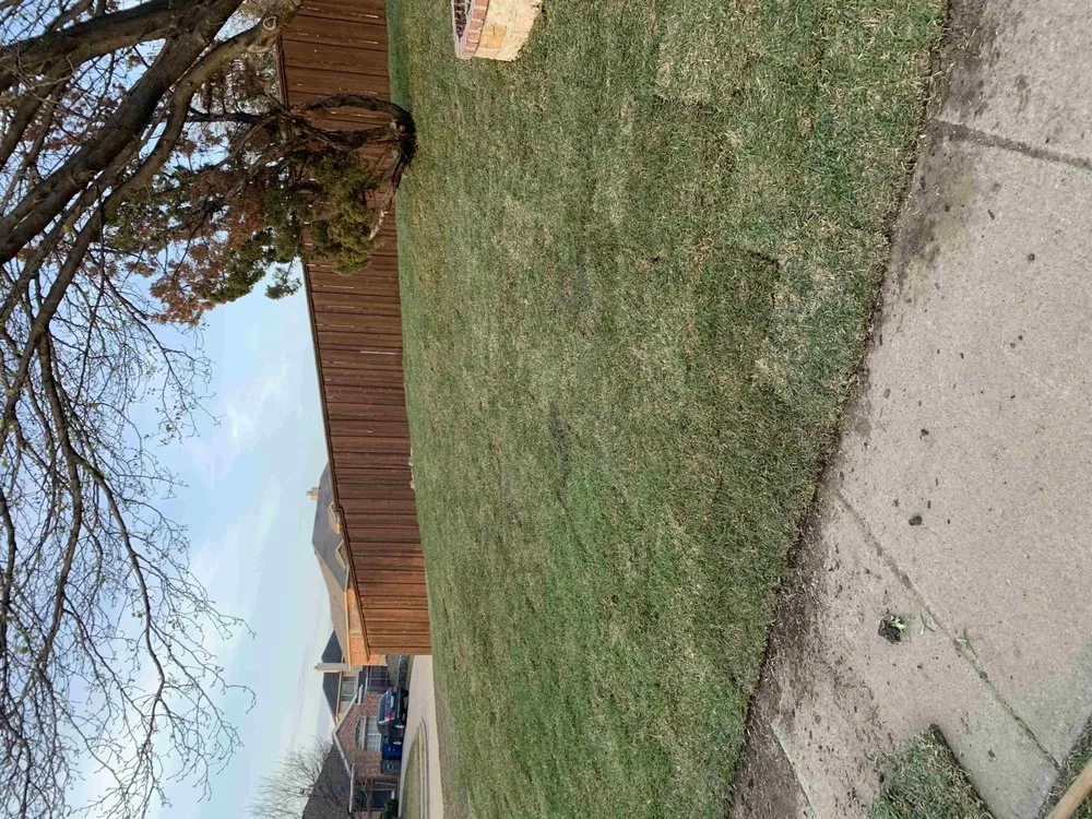 Local yard maintenance in Kaufman, TX by Greyna Lawn Care & Tree Service