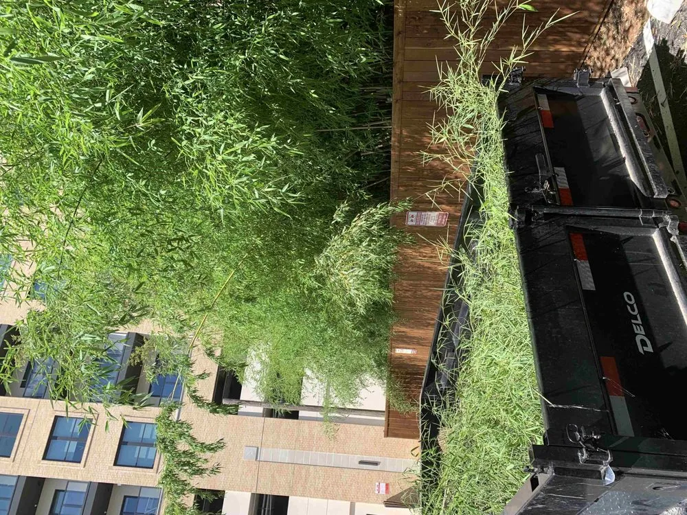 Professional yard maintenance in Kaufman, TX by Greyna Lawn Care & Tree Service