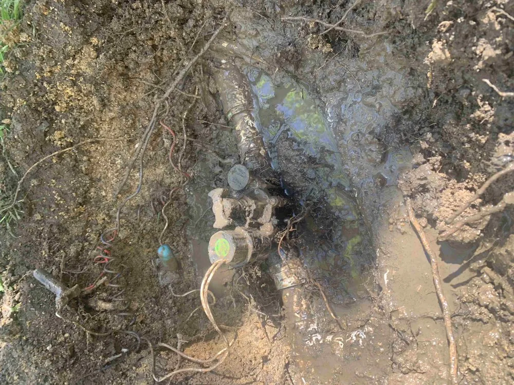 Trusted garden landscaping for year-round maintenance across Kaufman, TX - Greyna Lawn Care & Tree Service