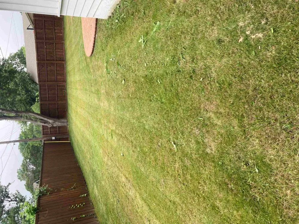 Top-rated lawn mowing service experts serving Kaufman, TX - Greyna Lawn Care & Tree Service