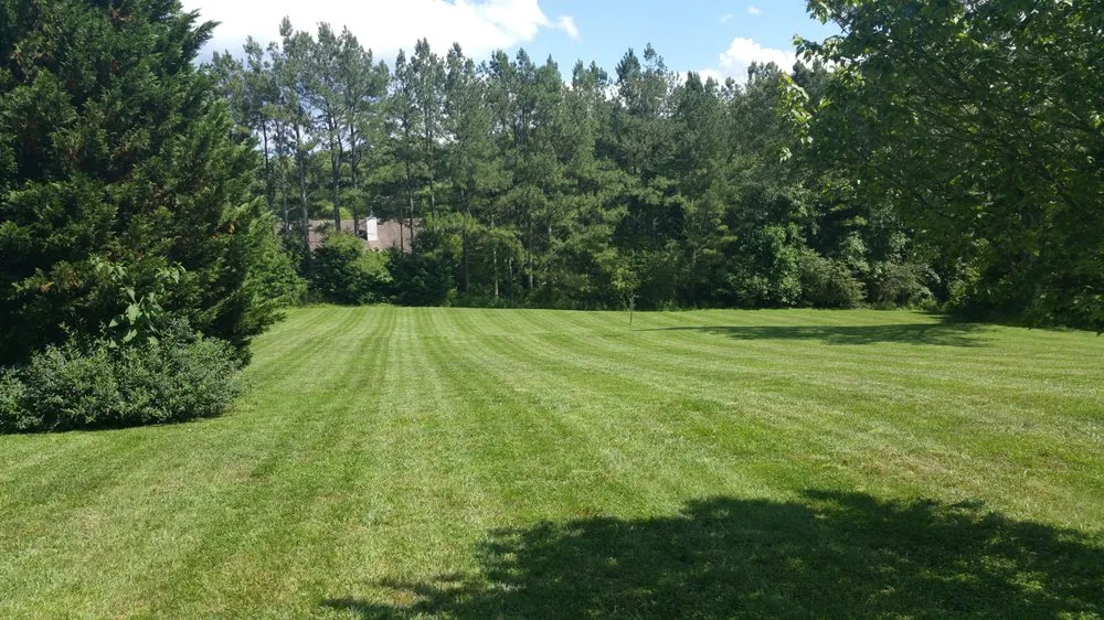 Expert yard cleanup service experts serving Dawsonville, GA - GRI Landscapes