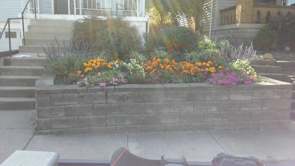 Affordable landscaping services experts serving Covington, KY - Gribble Landscaping