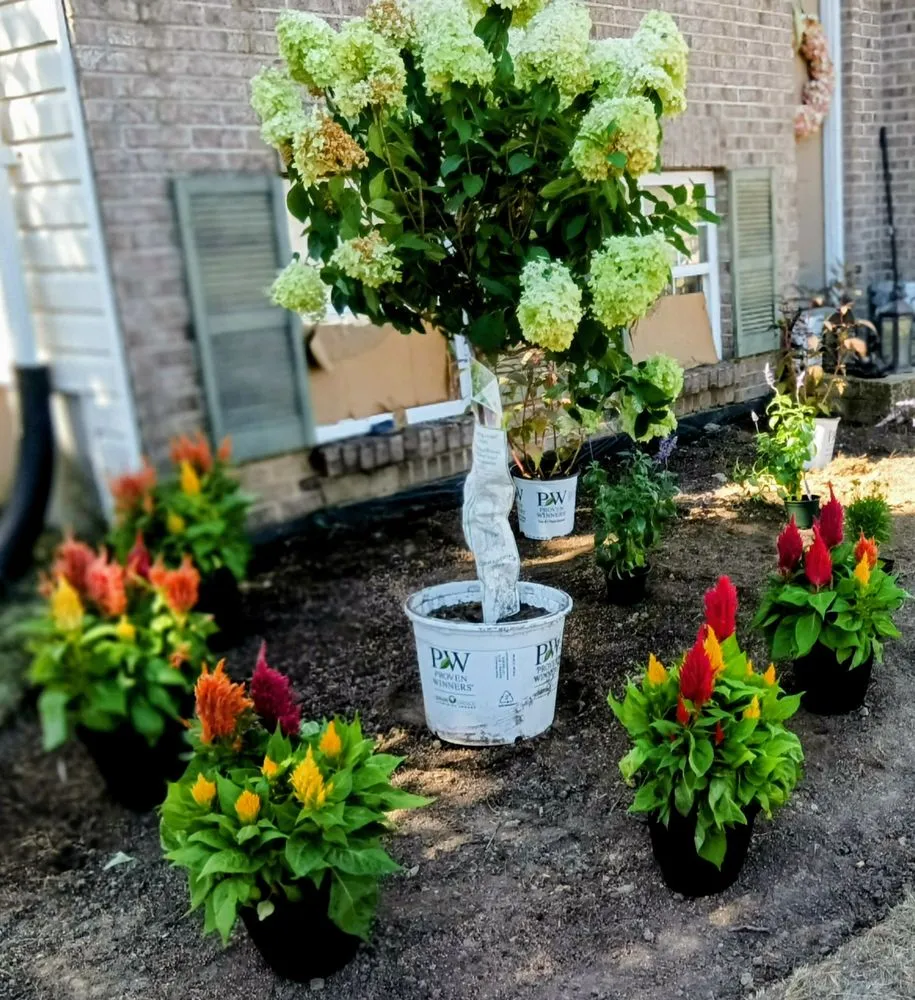 Expert lawn mowing service experts serving Covington, KY - Gribble Landscaping