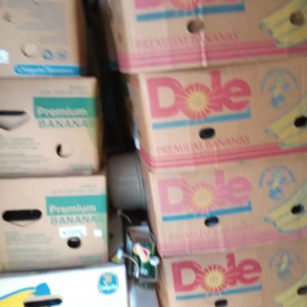 Professional landscape design experts serving Maryville, TN - Gribble Services