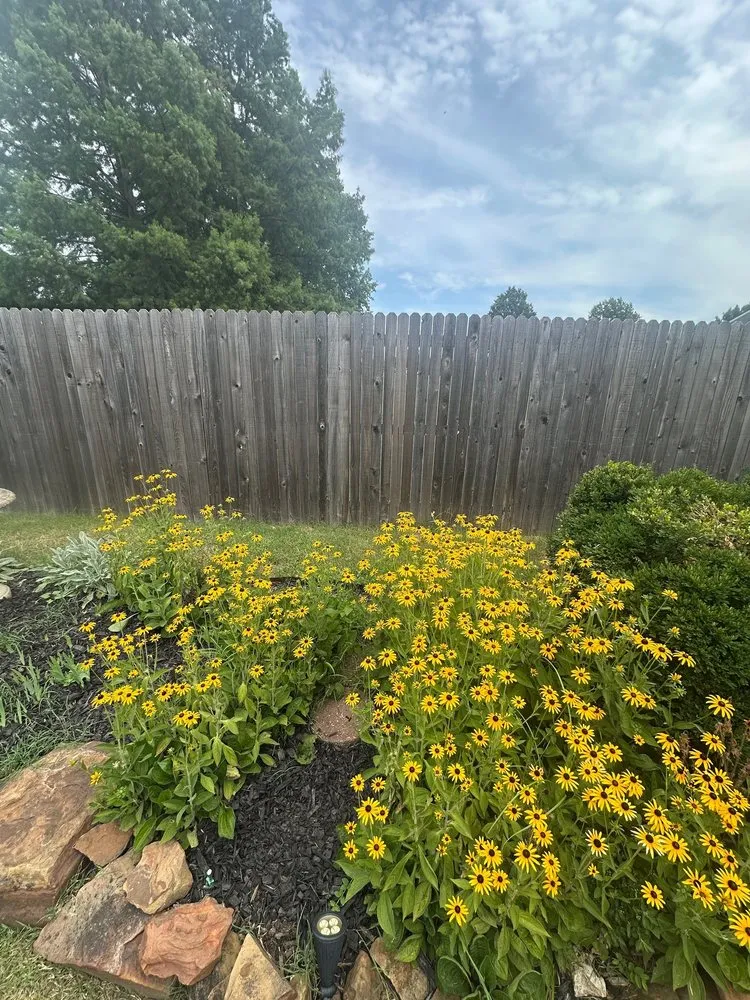 Top-rated yard cleanup service for outdoor upgrades in Jenks, OK by GrienGo Lawn and Landscaping