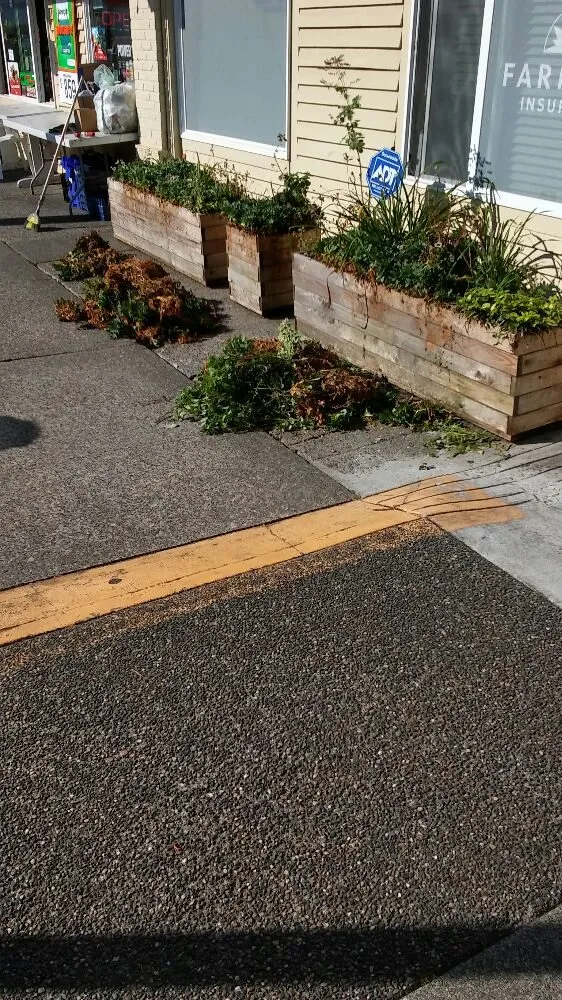 Reliable yard cleanup service experts serving Vancouver, WA - Grier's Landscaping Service And Handyman