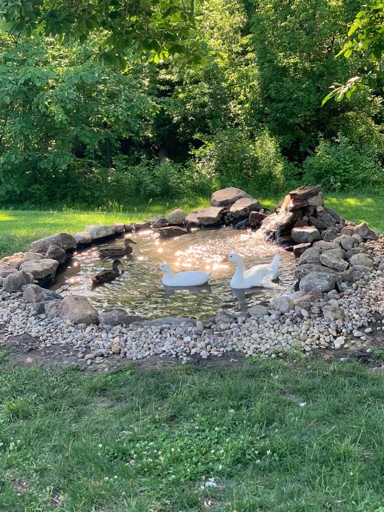 Affordable yard maintenance in Des Moines, IA - Griff Lawn and Landscape