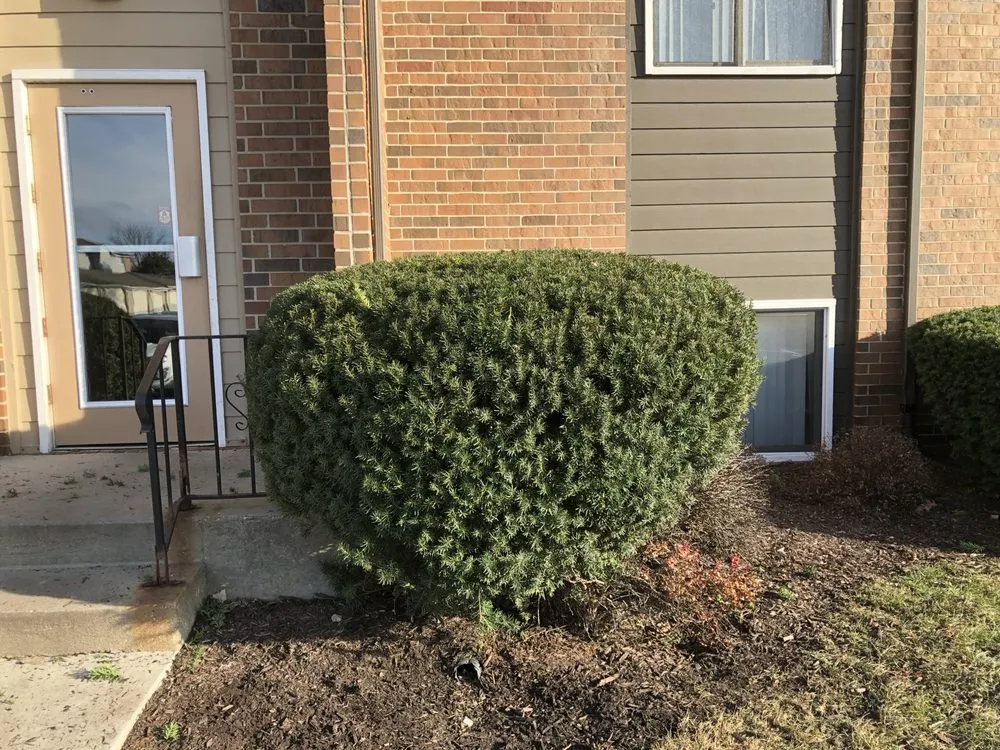 Top-rated landscape design near you across Des Moines, IA - Griff Lawn and Landscape