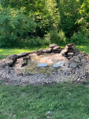 Griff Lawn and Landscape Logo