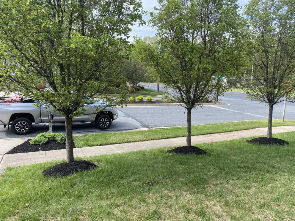 Custom outdoor landscaping for year-round maintenance in Forest Hill, MD by Griffin Grounds Landscaping and Cleanup