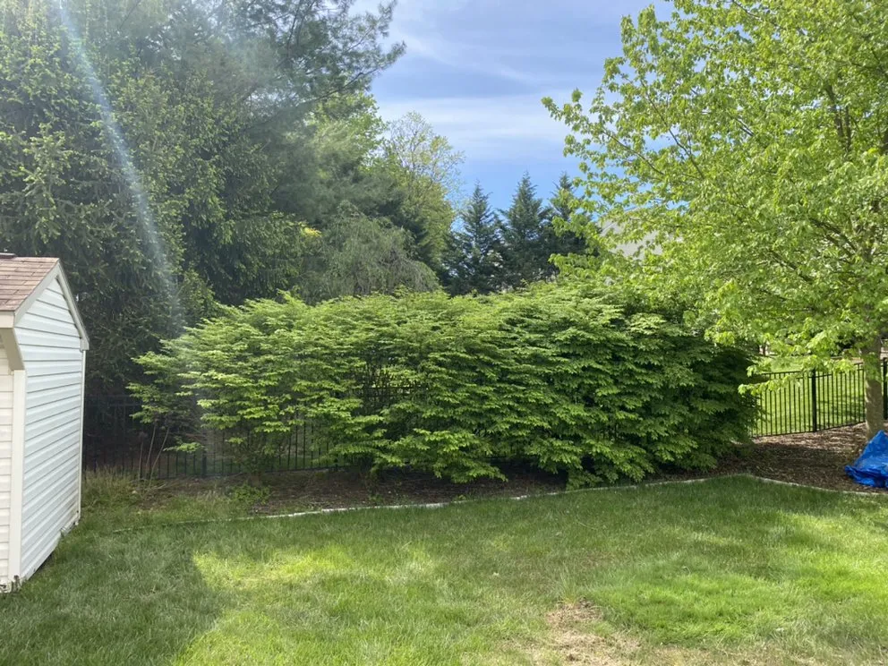 Professional landscape design for residential properties across Forest Hill, MD - Griffin Grounds Landscaping and Cleanup
