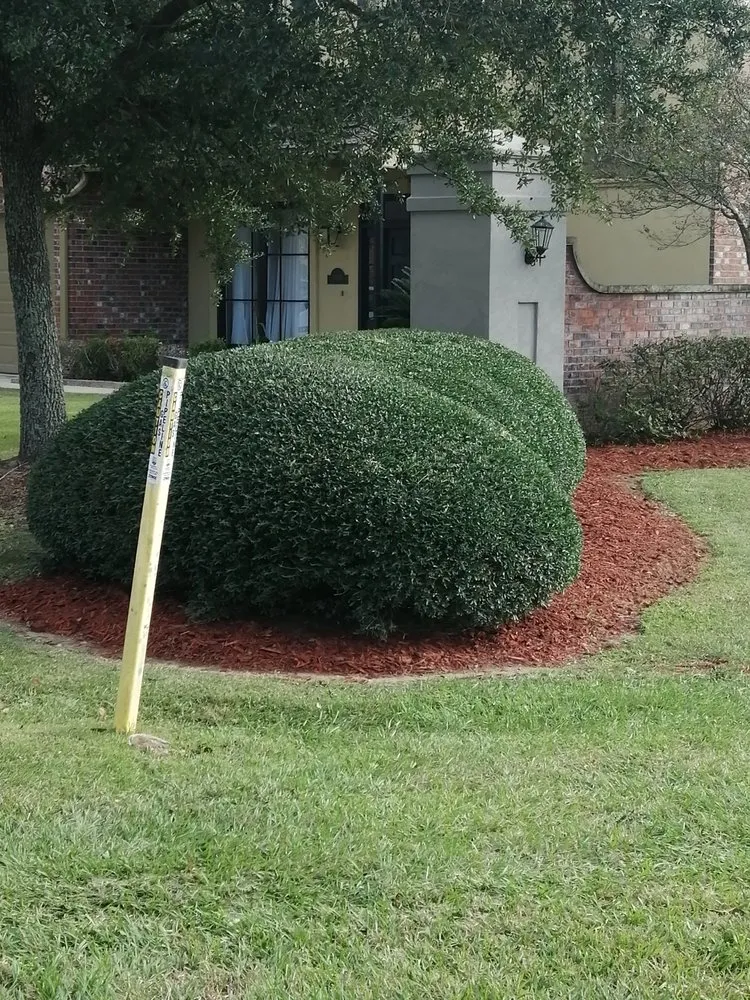 Custom residential landscaping in Prairieville, LA - Griffin Lawn Care