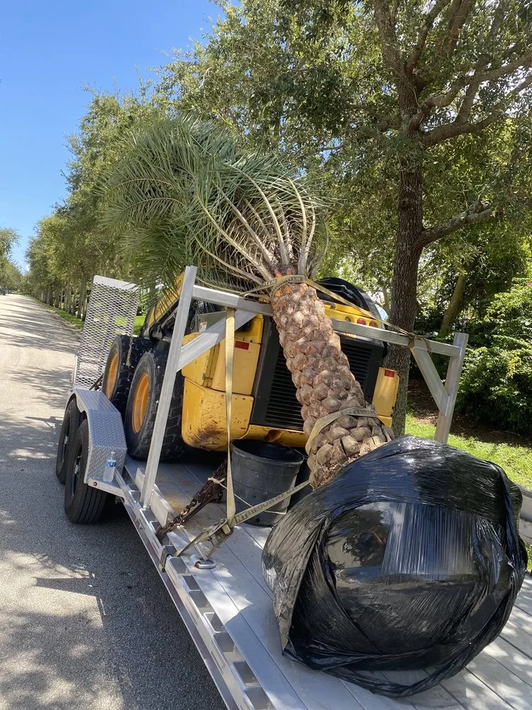 Reliable landscape design in Southwest Ranches, FL - Griffin Road Nursery And Landscaping