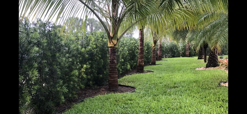 Expert lawn mowing service in Southwest Ranches, FL by Griffin Road Nursery And Landscaping