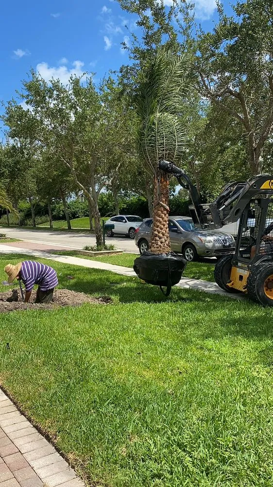 Trusted yard maintenance experts serving Southwest Ranches, FL - Griffin Road Nursery And Landscaping