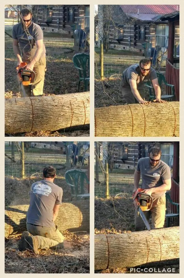 Custom lawn mowing service in Mayodan, NC by Griffin Tree Service and Landscaping