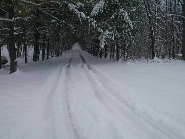 Expert residential landscaping with custom design across Mayodan, NC - Griffin Tree Service and Landscaping