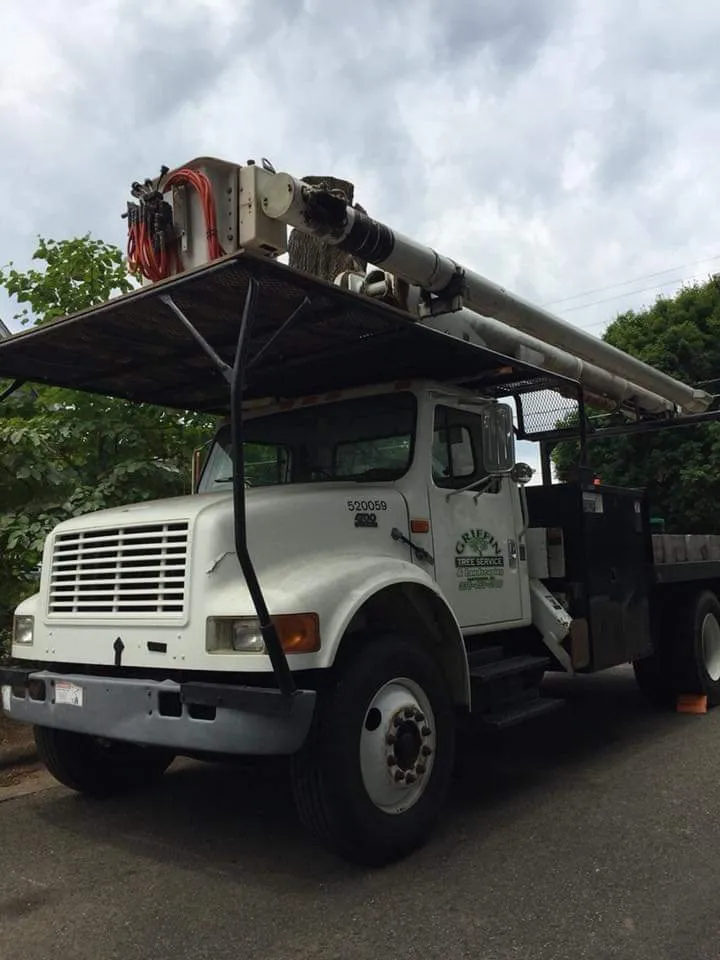 Affordable garden landscaping in Mayodan, NC by Griffin Tree Service and Landscaping