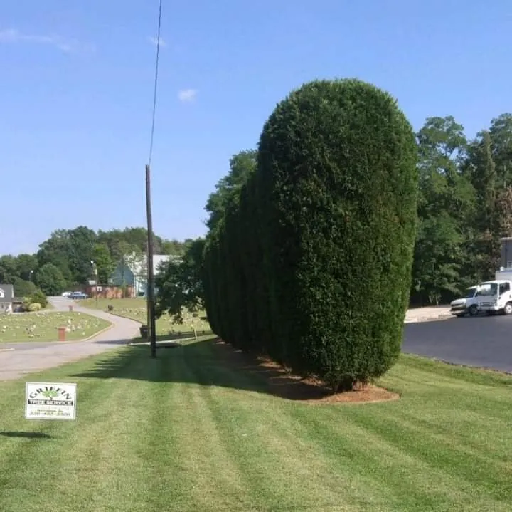 Top-rated residential landscaping near you across Mayodan, NC - Griffin Tree Service and Landscaping