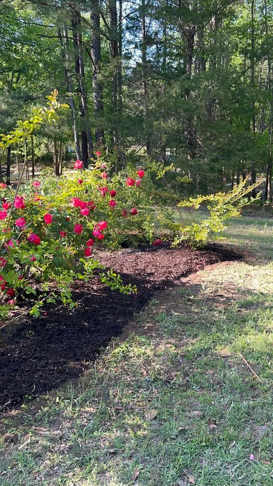 Expert garden landscaping near you in Columbus, GA by Griffin's Lawn Care Experts