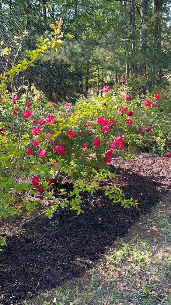 Top-rated landscape installation in Columbus, GA by Griffin's Lawn Care Experts