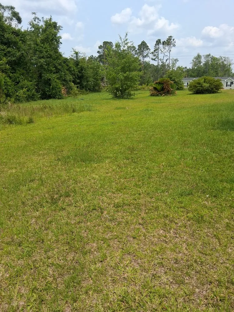 Professional landscaping services with custom design in Fitzgerald, GA by Griffin's Lawn Care